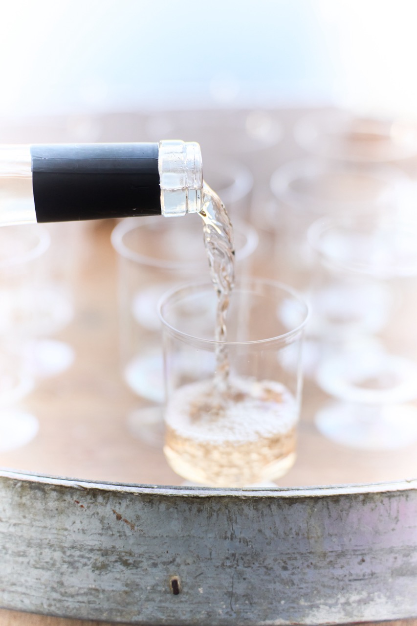 Photo 19 Caviste des Plans