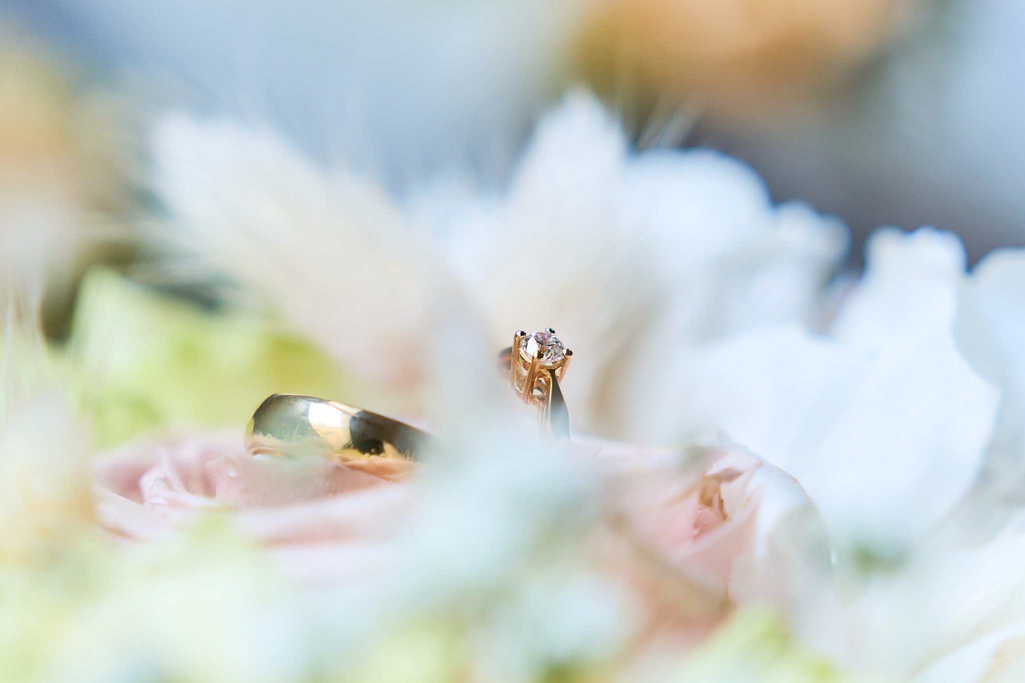 Photo 2 Marine Alexy