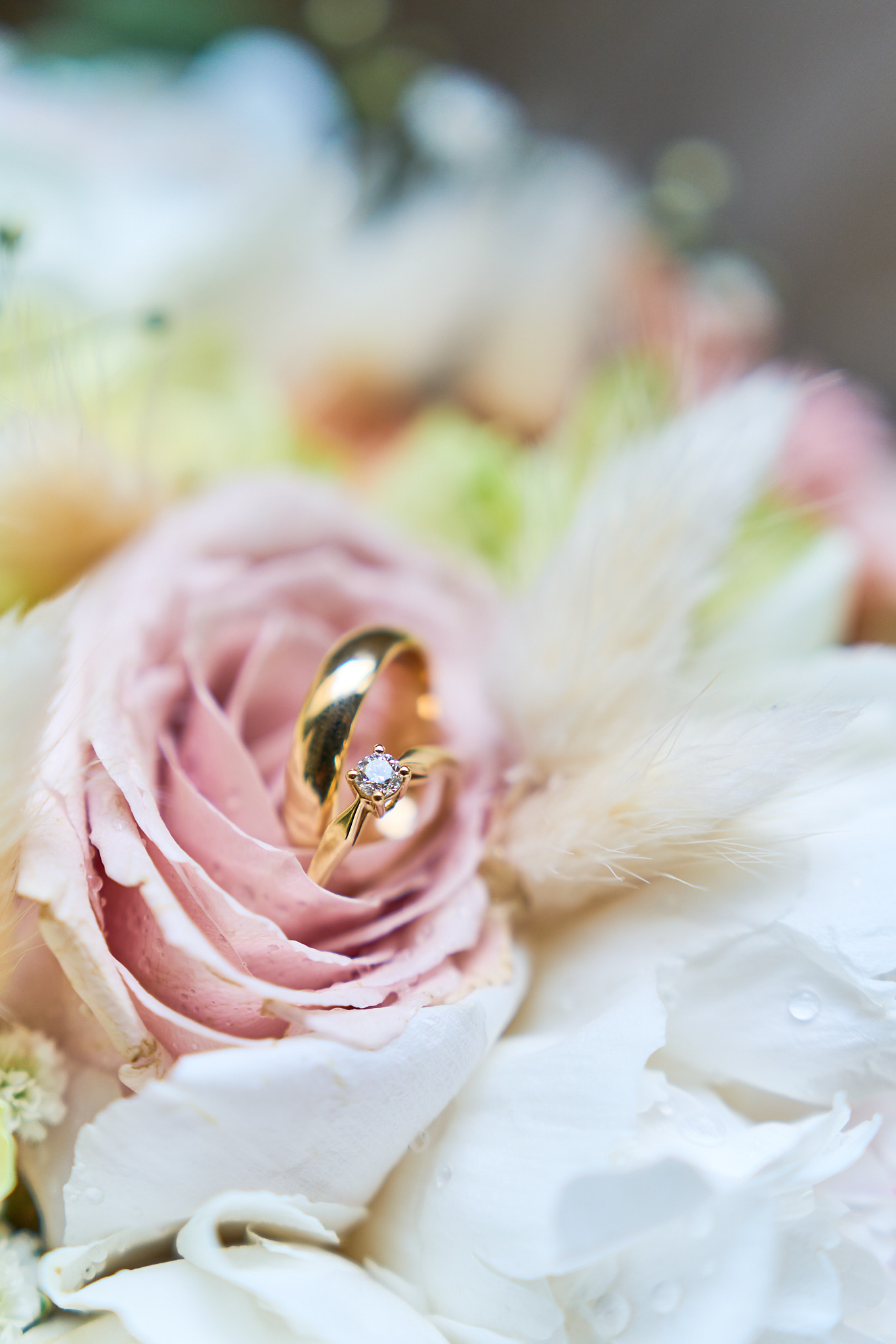 Photo 3 Marine Alexy