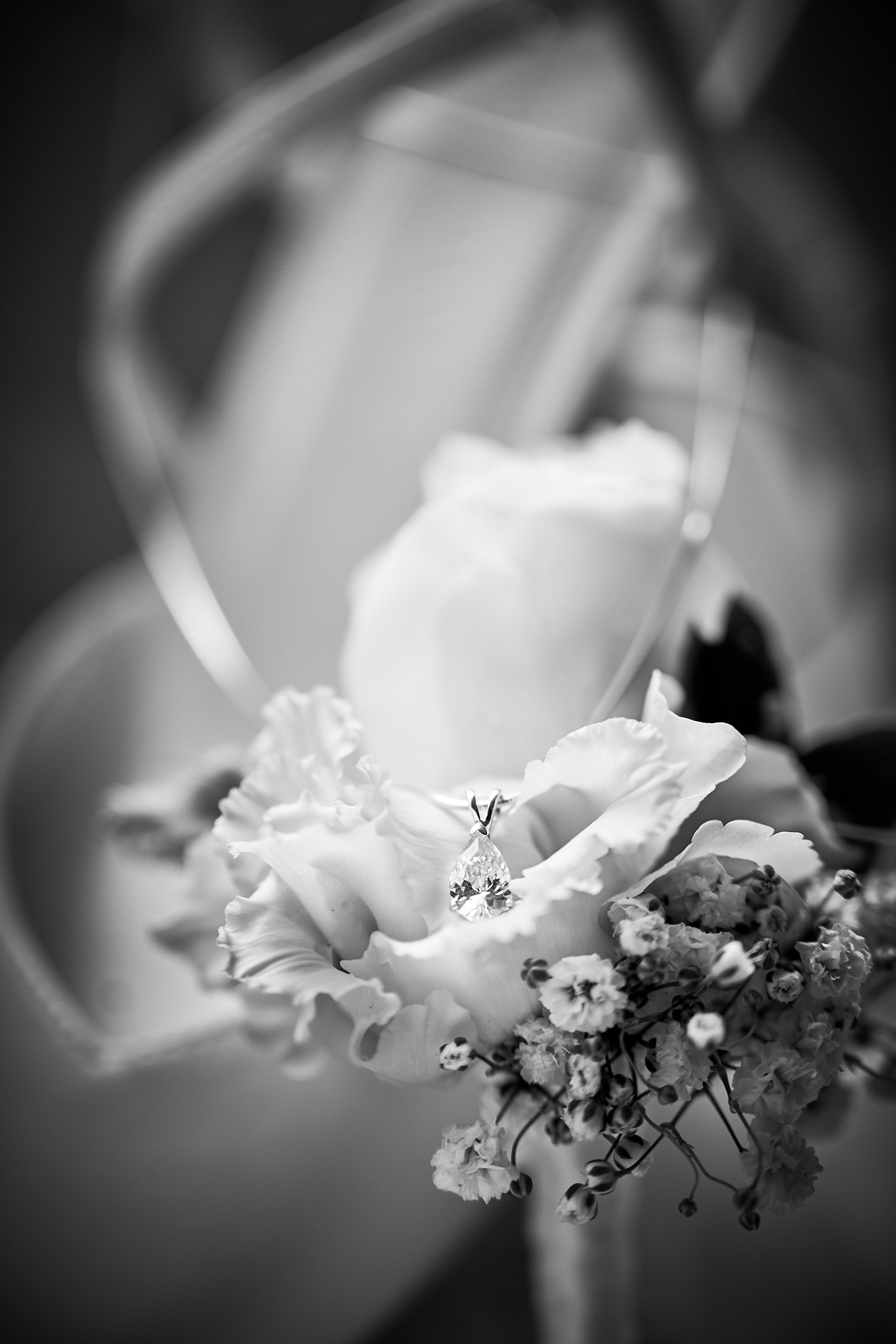 Photo 4 Marine Alexy