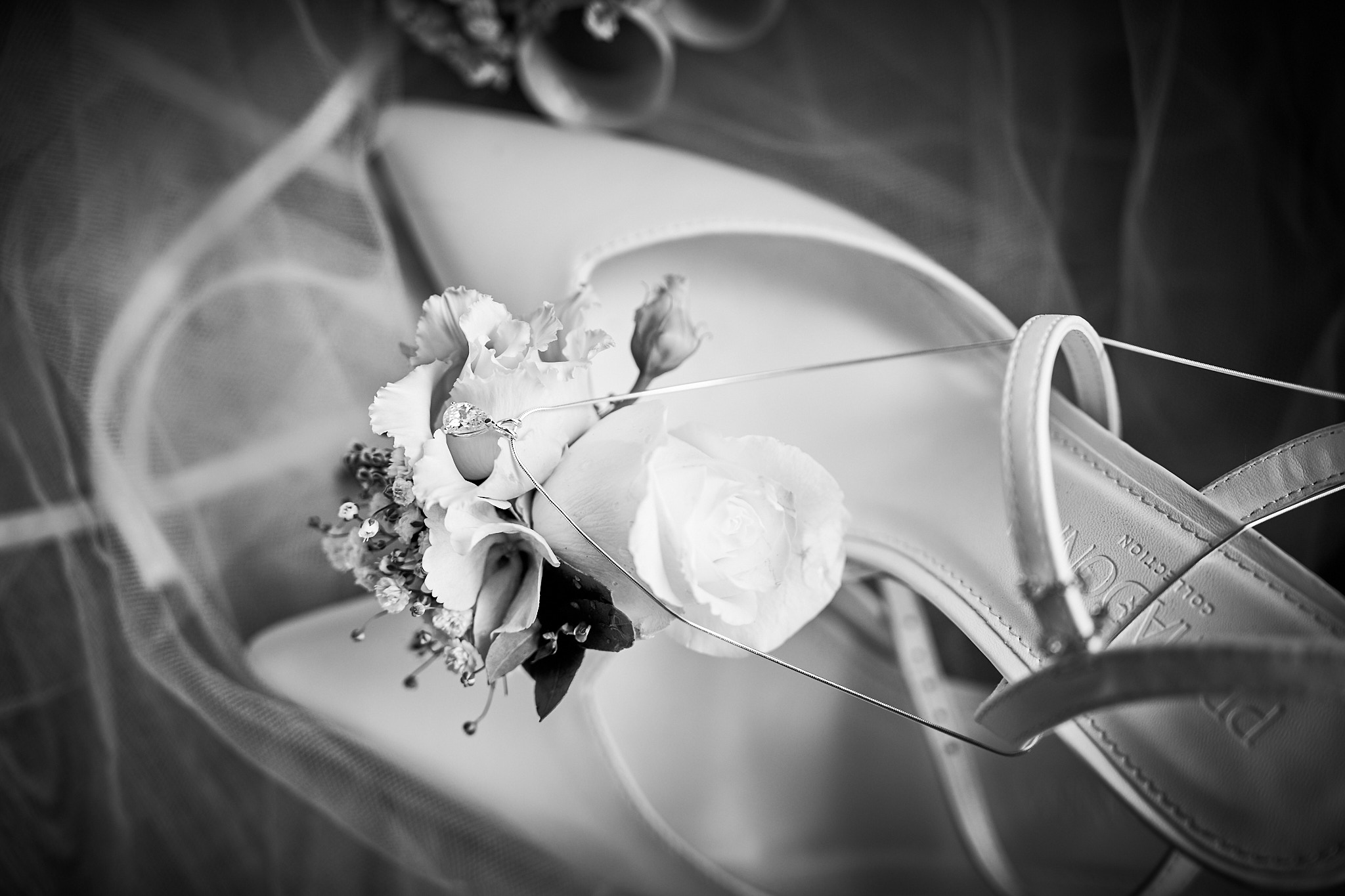 Photo 5 Marine Alexy