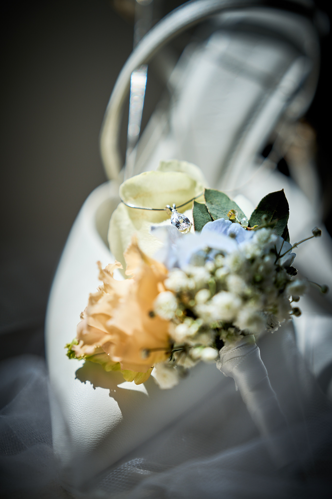 Photo 7 Marine Alexy