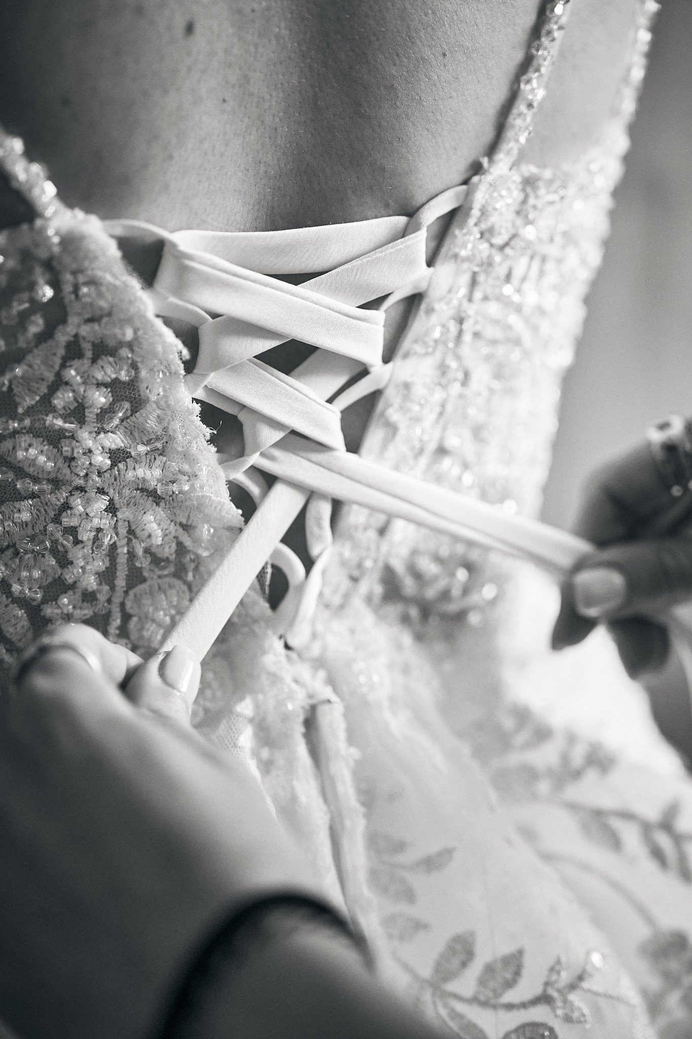 Photo 8 Marine Alexy