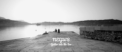 Negu's : Guitare into the Sea