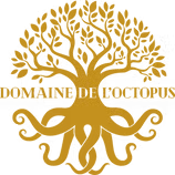 L'Octopus